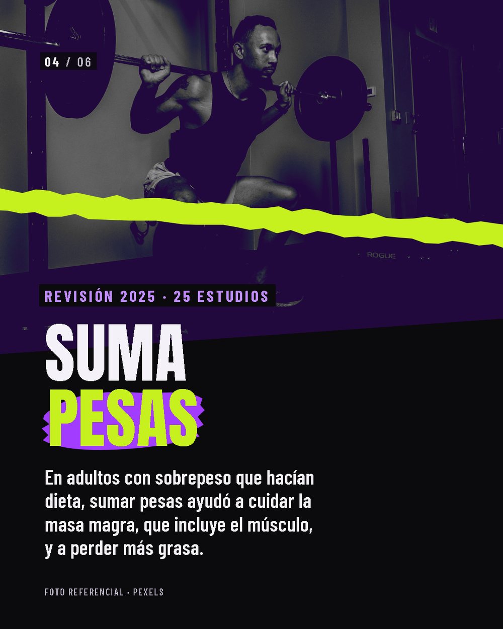 Lámina 4 de 6