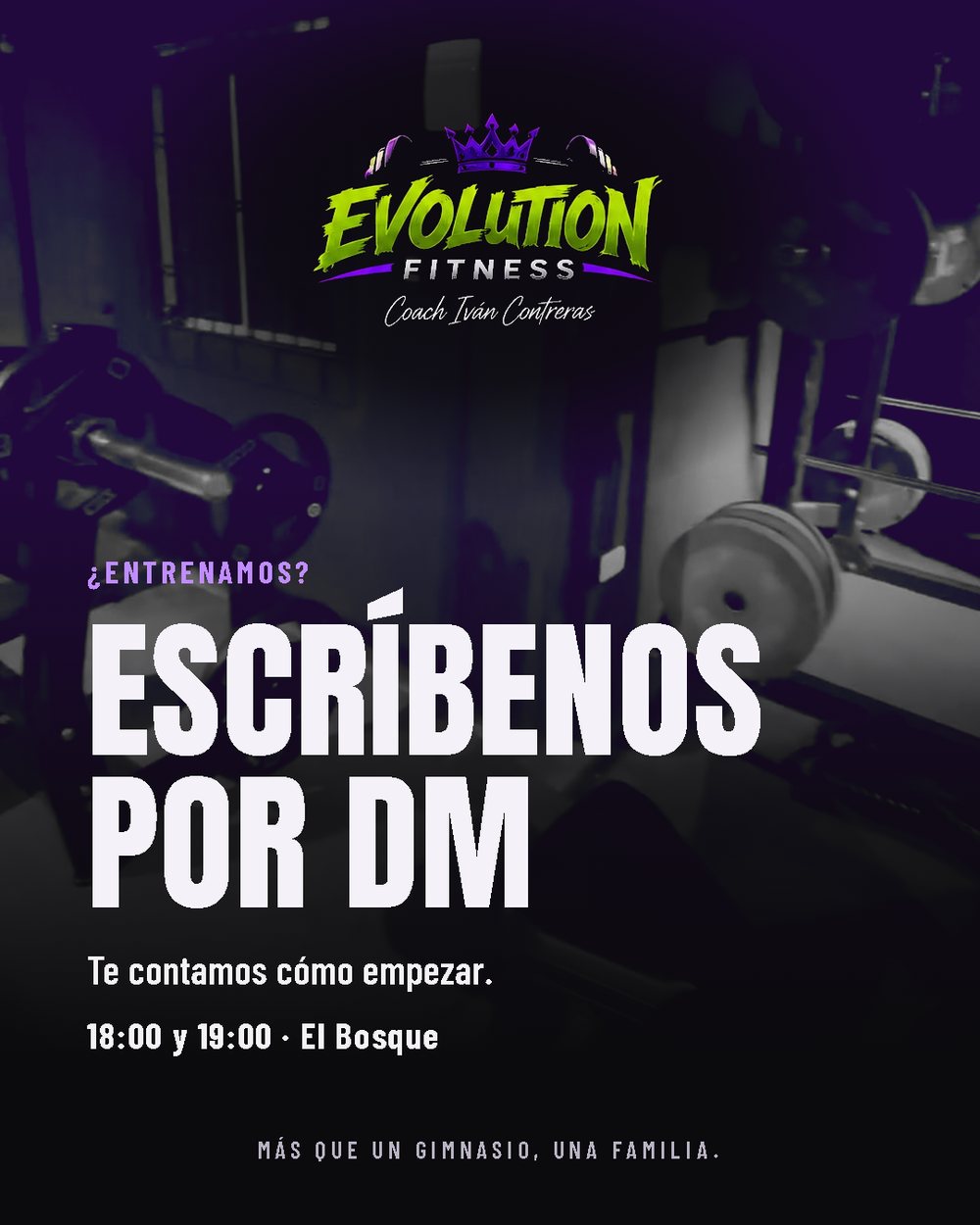 Lámina 6 de 6