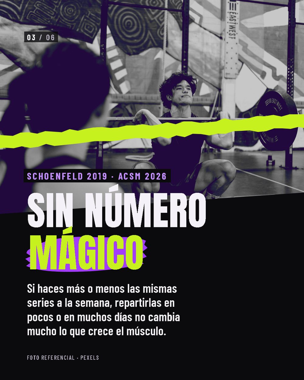 Lámina 3 de 6
