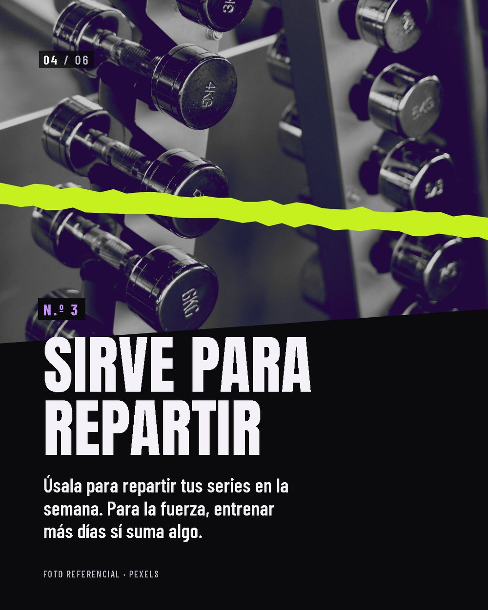 Lámina 4 de 6