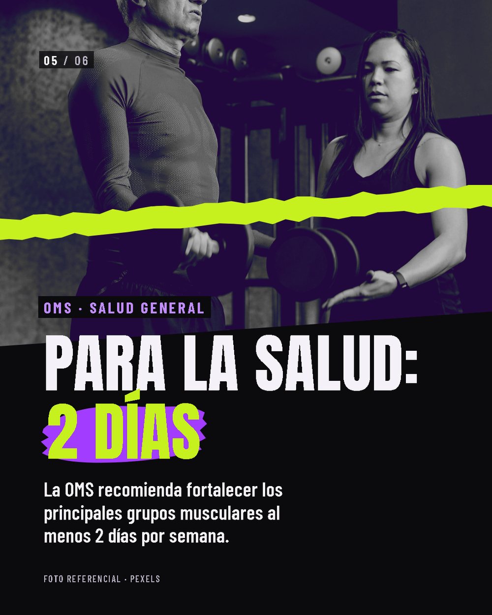 Lámina 5 de 6