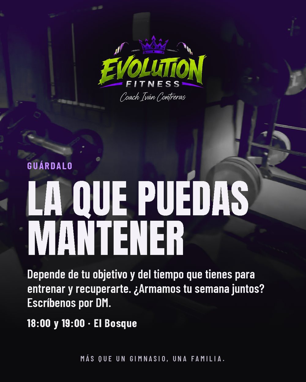 Lámina 6 de 6