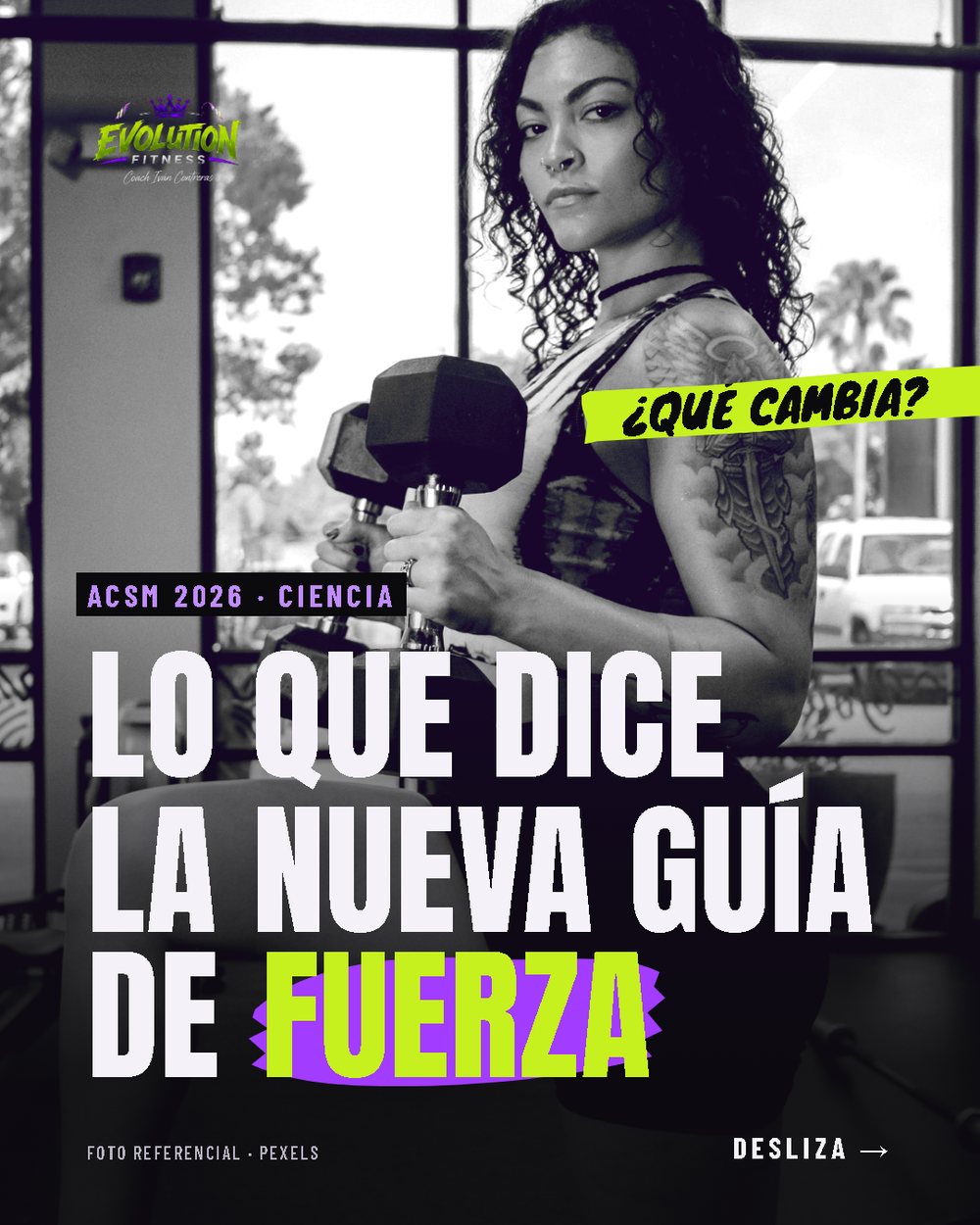Lámina 1 de 6