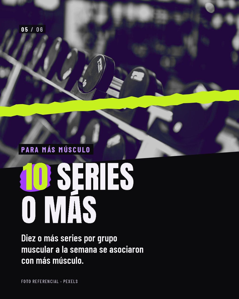 Lámina 5 de 6